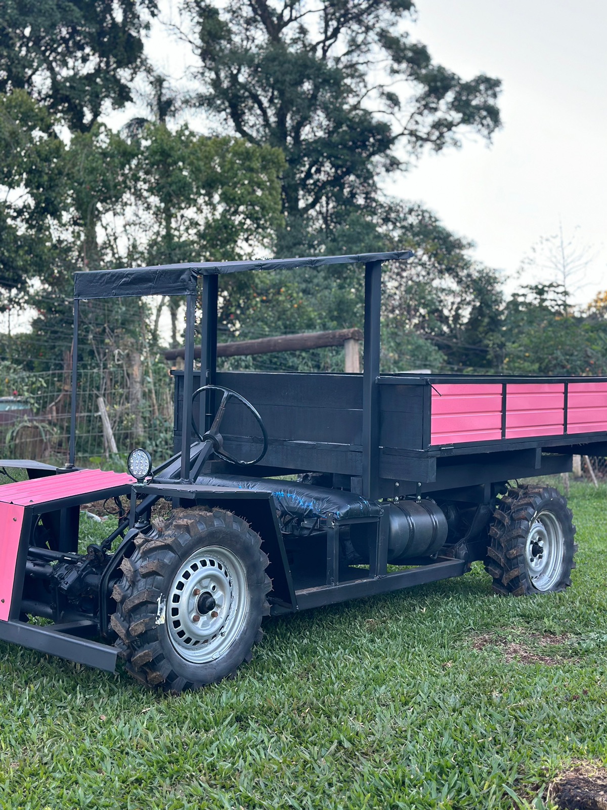 Carreta agrícola cor de rosa 4x2
